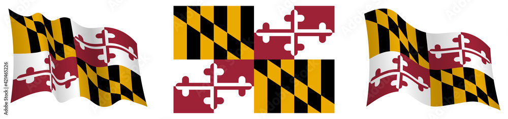 flag of american state of Maryland in static position and in motion ...