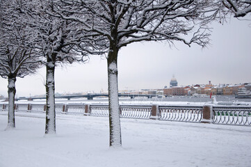 Wall Mural - Beautiful winter cityscape of Saint Petersburg with frosty trees and white snow sidewalk near frozen Neva river