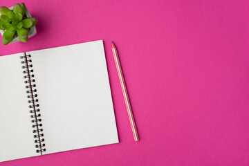top view photo of workplace with plant pencil and open organizer on isolated pink background with co