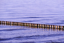 Wooden Posts In Sea