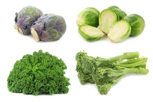 Assorted Vegetables On A White Background