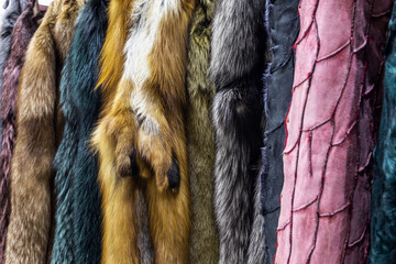 natural fur skins of different shades and colors