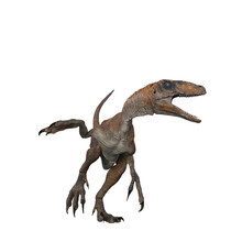 Deinonychus Dinosaur Chasing Prey. 3D Illustration Isolated On White Background.