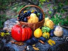 Autumn Still Life Consisting Of Wooden Basket Filled With Fruits And Vegetables Placed On A Tree Log