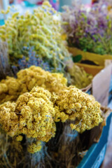 Wall Mural - Bunches of grapes on the counter. Green, red bunches of ripe grapes are laid out on the counter of the farmers ' market. The fruit is ready for sale