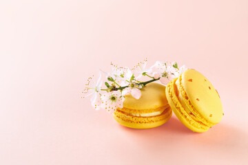 Two yellow macaroons and spring cherry blossom flowers on a pastel pink background with copy space. Mockup of greeting card with sweet macaron cakes. Delicious french almond meringue cookies.