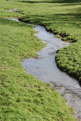 Wall Mural - eau riviere ruisseau environnement Wallonie Belgique