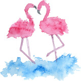 Fototapeta Zwierzęta - Watercolor clipart pink flamingo on a white. Hand draw