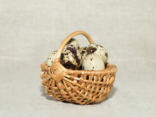 Fresh quail eggs for a healthy diet