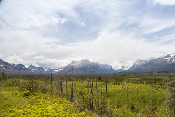 Wall Mural - Glacier National Park, snow-capped mountain range, Montana, USA
