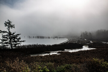 Poster - Anacortes, Washington State, landscape, curved beach.