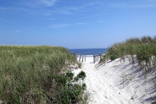 Summer’s Coming, Path To Beach, Island Beach State Park, NJ, USA