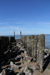 Sticker - Vertical shot of moss-covered pole lines on a beach in the Netherlands under a blue sky