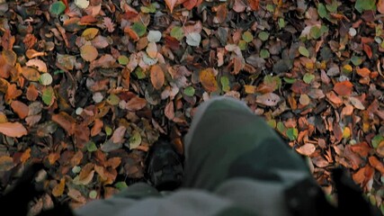 Poster - A 4K rendering of a traveller walking in the autumn forest