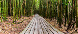 Fototapeta Sypialnia - Boardwalk Through Giant  Bamboo Forest on The Pipiwai Trail, Kipahulu District, Haleakala National Park, Maui, Hawaii, USA