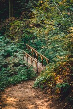 View Of Bridge In Forest