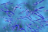 Fototapeta Perspektywa 3d - 3D Rendering Chromosome Intracellular view