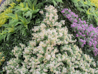Vertical garden of plastic purple and white plants and flowers forming an artificial background
