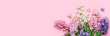 Flowers Festive Composition. Pink Spring Or Easter Floral Background. Beautiful Hyacinths Flowers, Hello Spring Concept