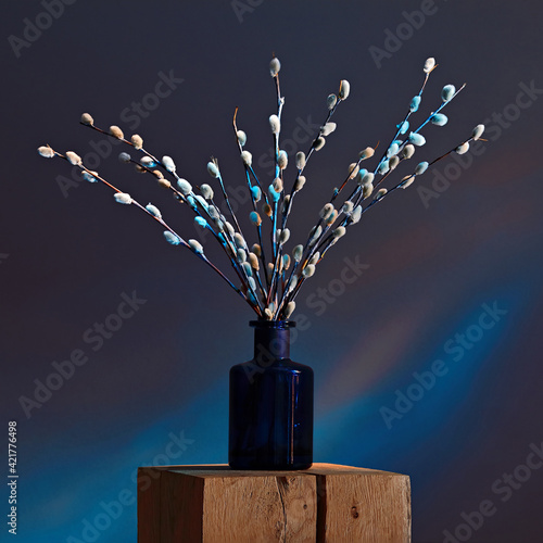 Blooming willow branches in vase in red and blue neon lights