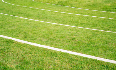 Green grass lawn in garden backyard, white strip of concrete pavement