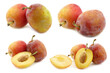 fresh ripe red and yellow plums and some cut ones on a white background