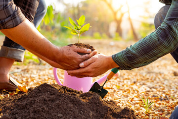 .Volunteers plant trees while watering the plants in the garden. To reduce global warming problems Which is the concept of saving the earth, nature, environment and ecology