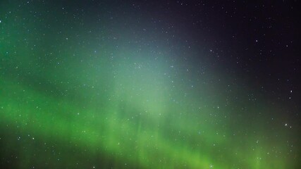 Wall Mural - aurora and shooting stars