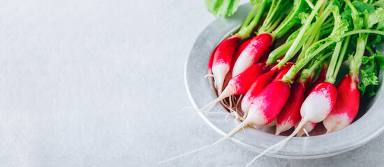 Wall Mural - Radish. Fresh raw organic radishes in a bowl