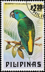 Canvas Print - Guaiabero, philippine endemic parrot on postage stamp