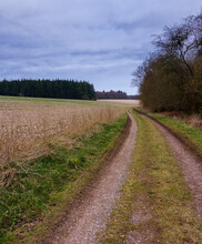 A Scenic Winding Track Through Woodlands And Fileds, North Wessex Downs, AONB 