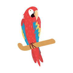 Canvas Print - macaw on branch