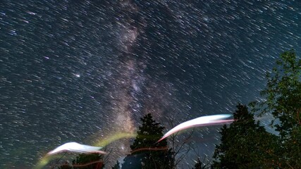 Wall Mural - sky with stars