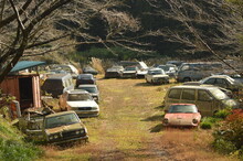 Car Graveyard In Japan
