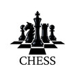 Chess pieces vector illustration. Chess Pieces: King, Knight, Rook, Pawns on a chessboard. Isolated on a white background