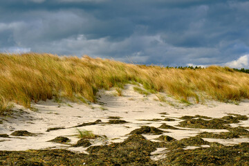 Canvas Print - Nordstrand und Dünen  im Ostseebad Prerow auf dem Darß, Fischland-Darß-Zingst, Mecklenburg Vorpommern, Deutschland