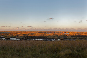 Canvas Print - Abendstimmung am Darßer Ort an der Ostsee in der Kernzone des Nationalpark Vorpommersche Boddenlandschaft am Darßer Weststrand, Mecklenburg Vorpommern, Deutschland