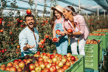 Happy family enjoying together while picking apples in orchard.