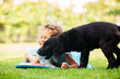 © oksix - Cute preschool girl play with pets on fresh grass