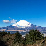 Fototapeta Sawanna - 晴天の富士山