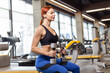 © splitov27 - Red-haired fitness woman sitting on a bench with dumbbells in the gym