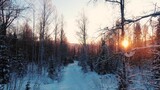 Fototapeta Sypialnia - Empty narrow rural snowy road across picturesque winter woods with high bare trees at sunset in cold evening aerial view