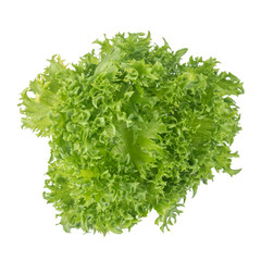 Wall Mural - Red Oak Lettuce or Green Oak Lettuce (Lactuca sativa) isolated on white background.Food ingredients in salads or Healthy food concept for weight loss Grown in hydroponics systems.
