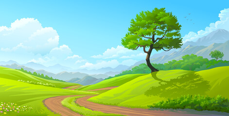 Wall Mural - a path from the lawn to the meadows with beautiful flowers, bushes on the side, a magnificent tree, 