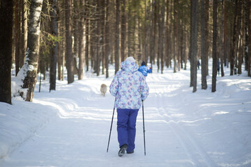 Nordic walking.A woman is engaged in Nordic walking in the winter in the park.