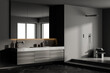 Modern classic bathroom with stone double sink and shower, minimalistic dark grey interior design.