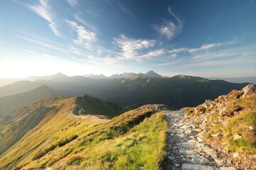 Wall Mural - Trail through the Carpathian Mountains during sunrise