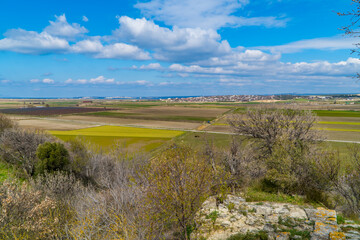 Wall Mural - Panoramic view of landscapes and ruins in the archaeological park of the ancient city of Troy near Canakkale, Turkey