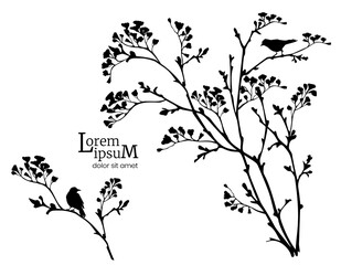 black silhouette of spring flowering branches and birds.