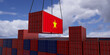 © brainwashed 4 you - A freight container with the vietnamese flag hangs in front of many blue and red stacked freight containers - concept trade - import and export - 3d illustration